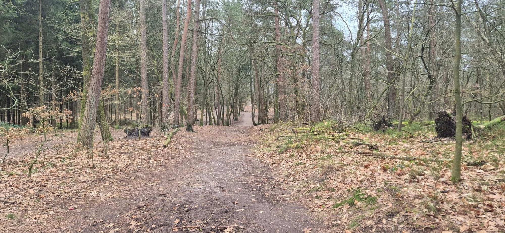 Het Veluwse Boshuisje Knus Chalet Met Omheinde Tuin Op De Veluwe Hoenderloo Eksteriør bilde