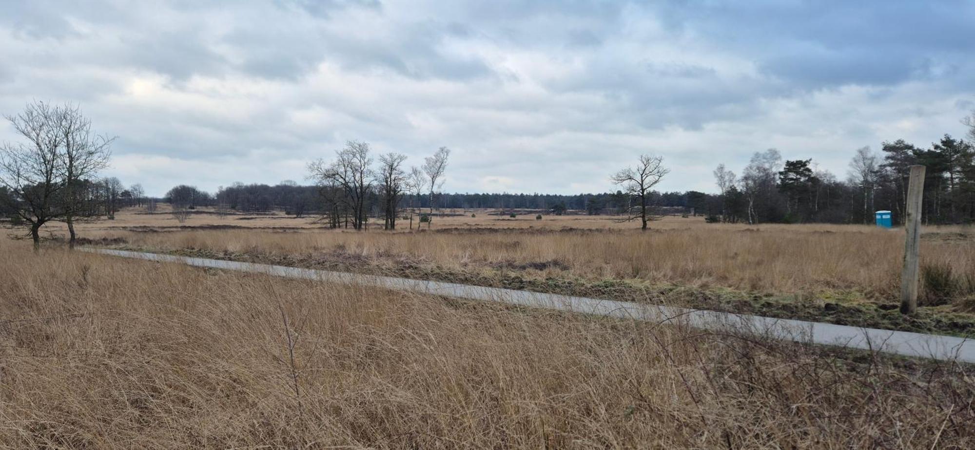 Het Veluwse Boshuisje Knus Chalet Met Omheinde Tuin Op De Veluwe Hoenderloo Eksteriør bilde
